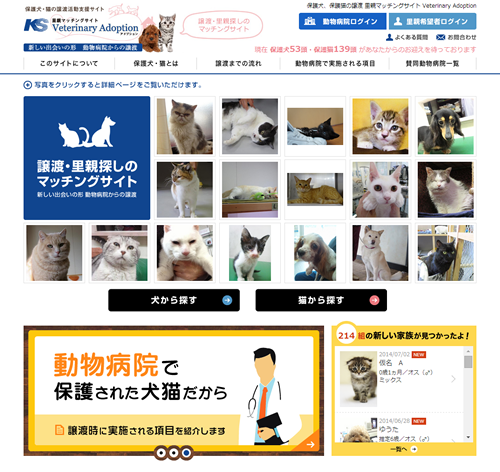 里親マッチングサイト「Veterinary Adoption」の譲渡成立が200組を突破!